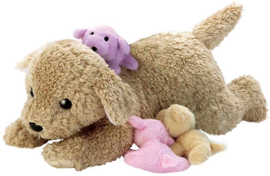 I had gave birth dog!