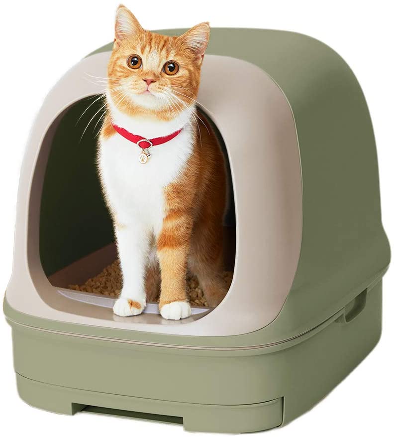 Toilet body Nyan both clean toilet set