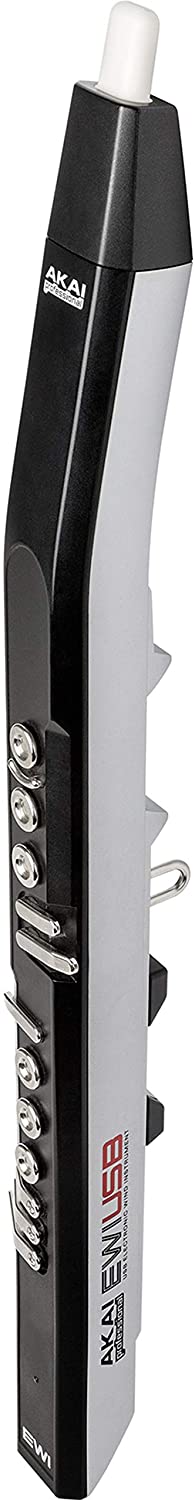 A variety of sound can be represented by a USB connection between the electronic wind instrument PC