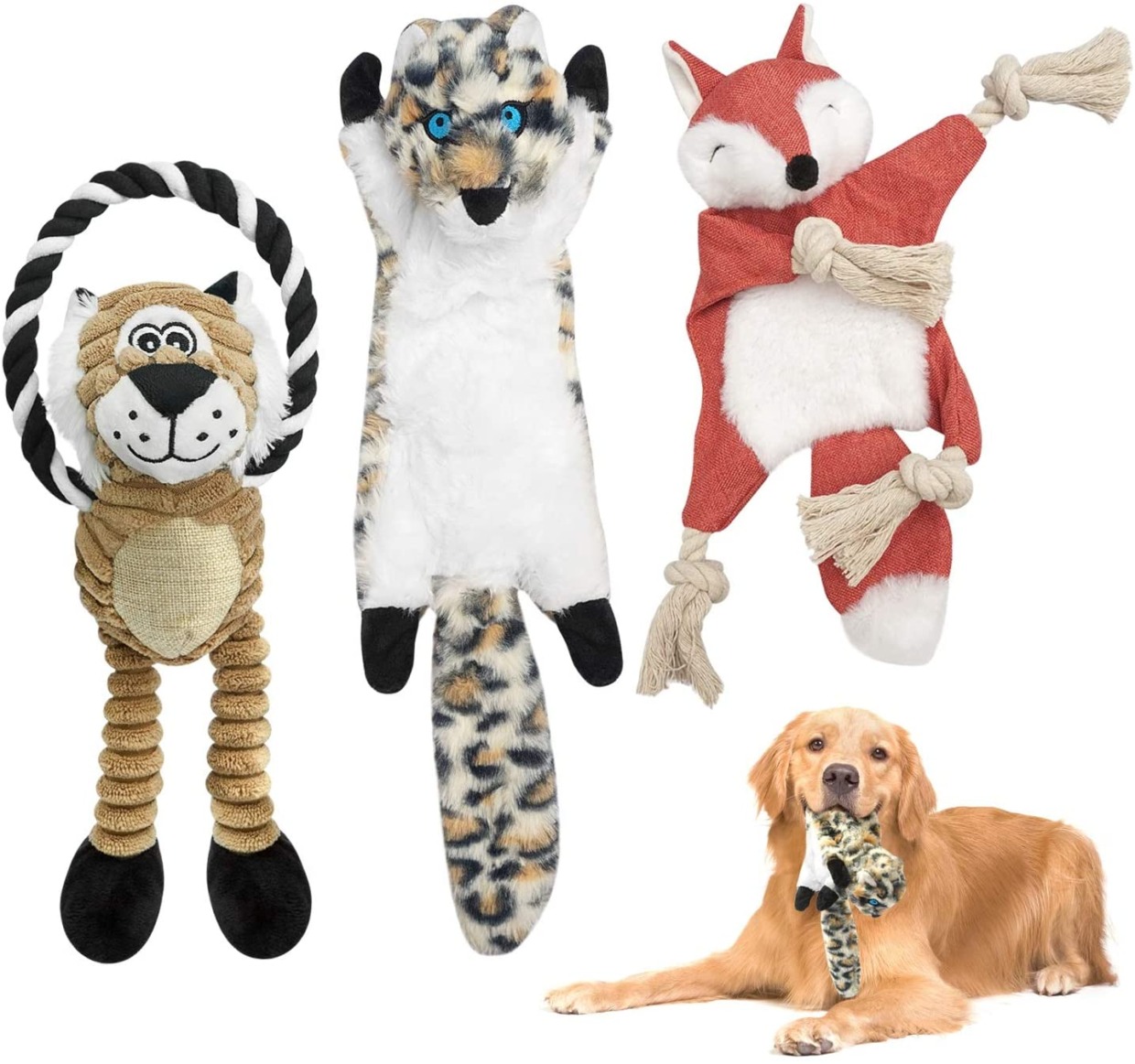 Toys out of the dog toys sound