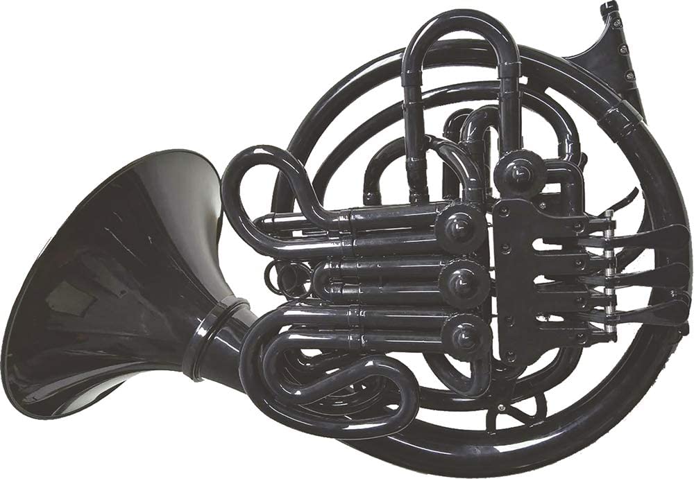 Black with plastic French horn case
