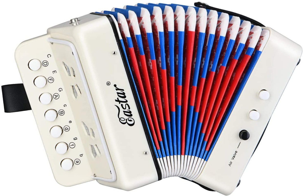 Piano accordion 10 key beginner set