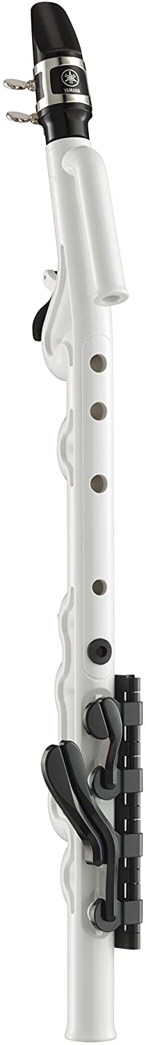 カジュアル管楽器